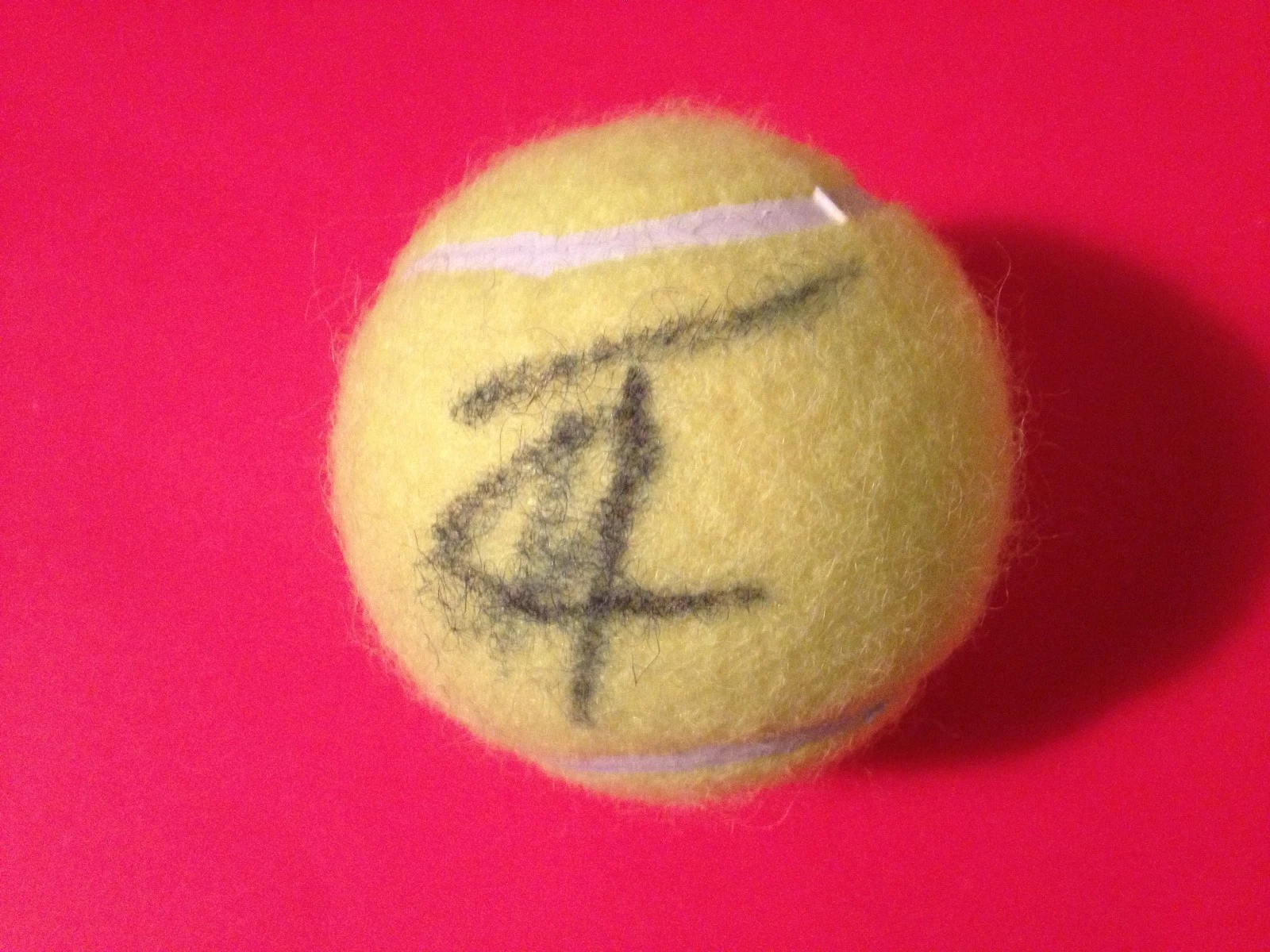 TAMIRA PASZEK WILSON TENNIS BALL SIGNED AUTO COLLECTIBLE MEMORABILIA