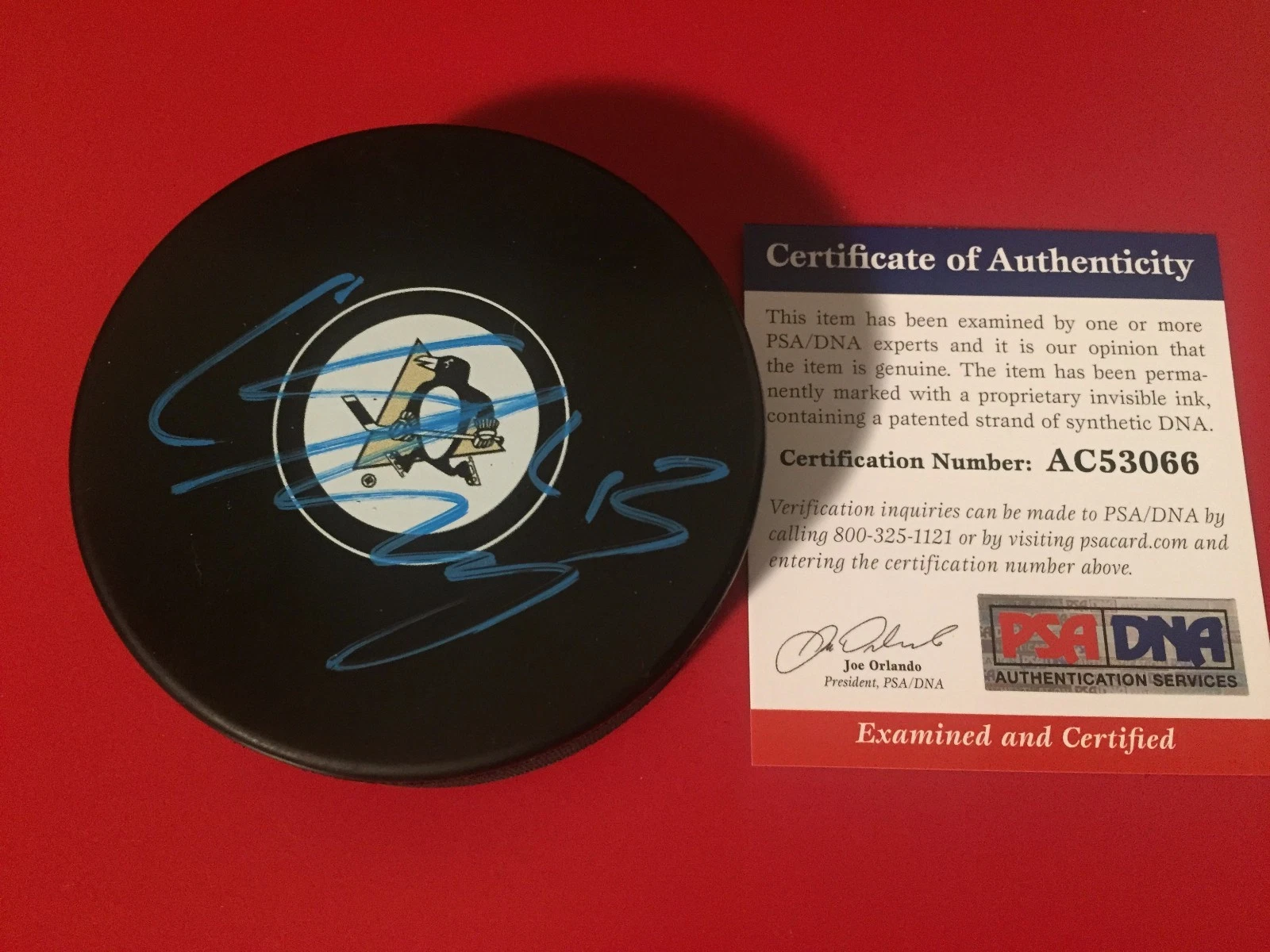 Conor Sheary Stanley Cup Penguins Signed Hockey Puck Auto PSA/DNA COA
