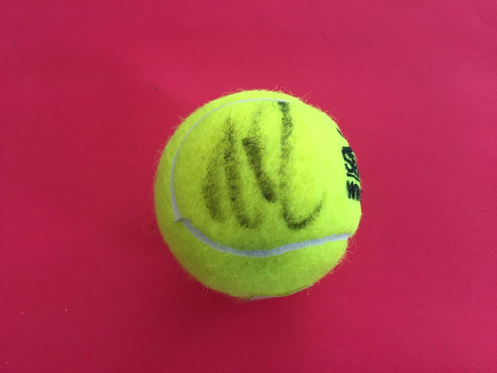 Milos Raonic Slazenger Wimbledon Tennis Ball Signed Auto
