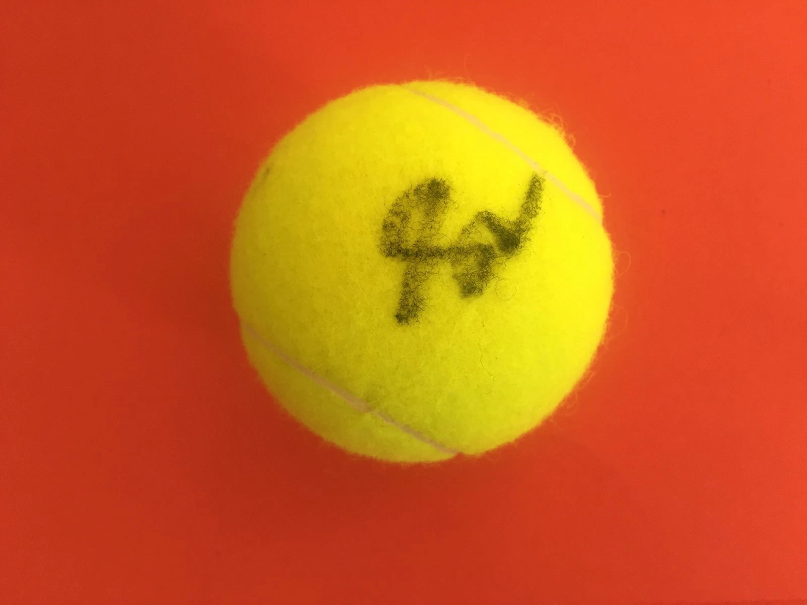 Sachia Vickery Tennis Dunlop Tennis Ball Signed Auto
