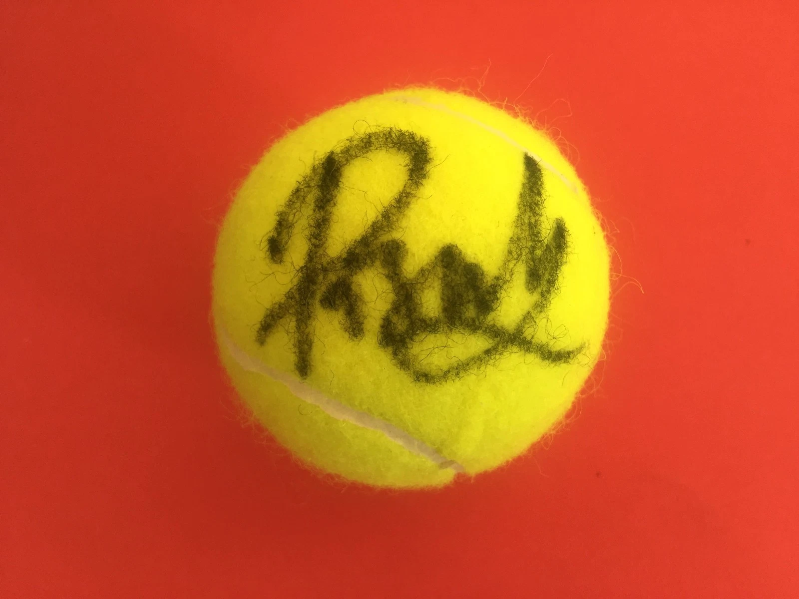 Priscilla Hon Tennis Dunlop Tennis Ball Signed Auto
