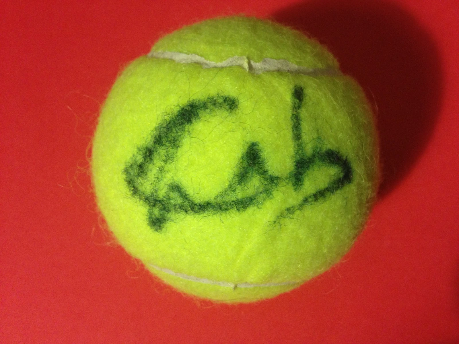 Yanina Wickmayer Dunlop Tennis Ball Signed Auto
