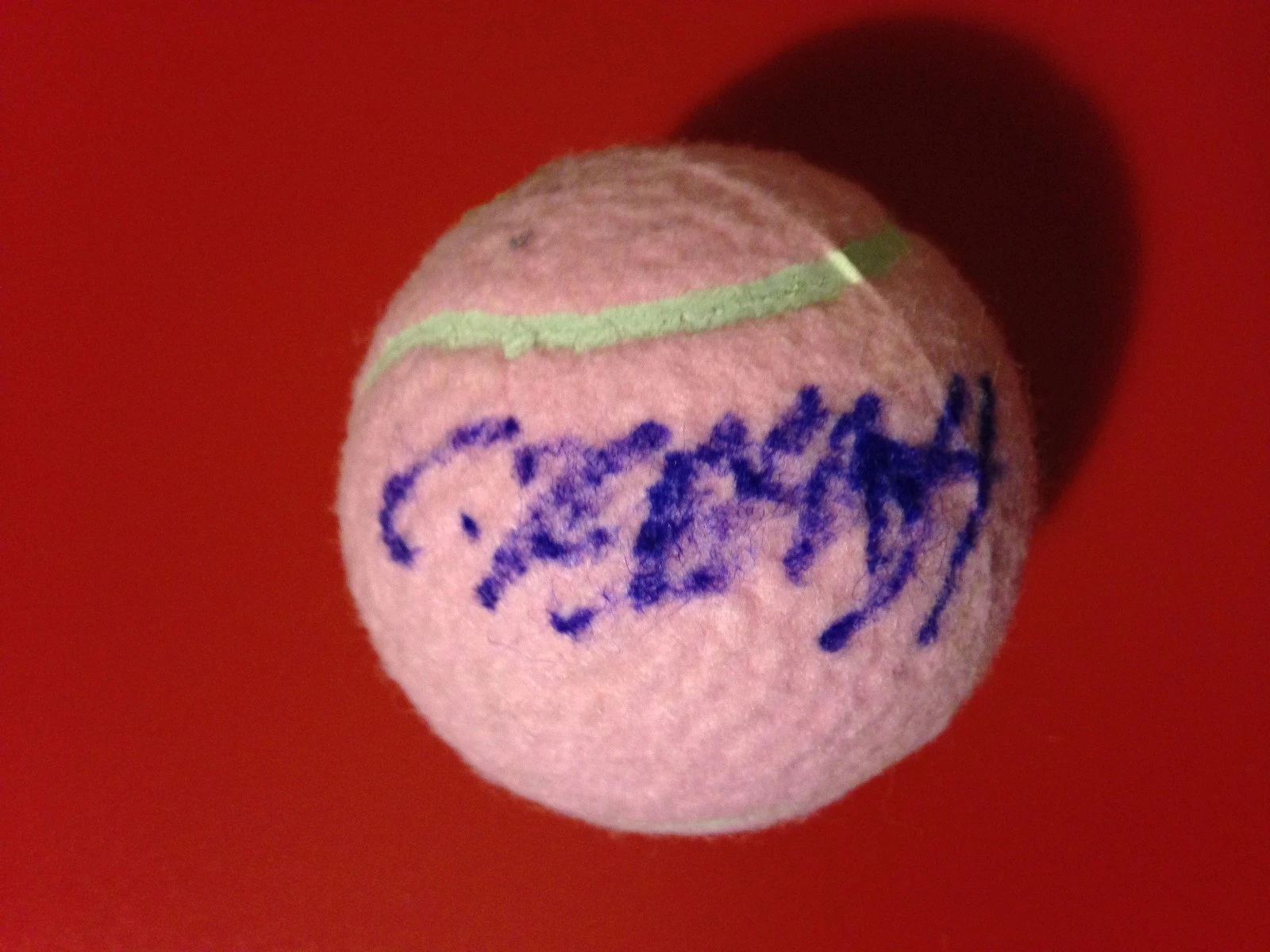 Carina Witthoeft Pink Wilson Hope Cancer Research Tennis Ball Signed Auto
