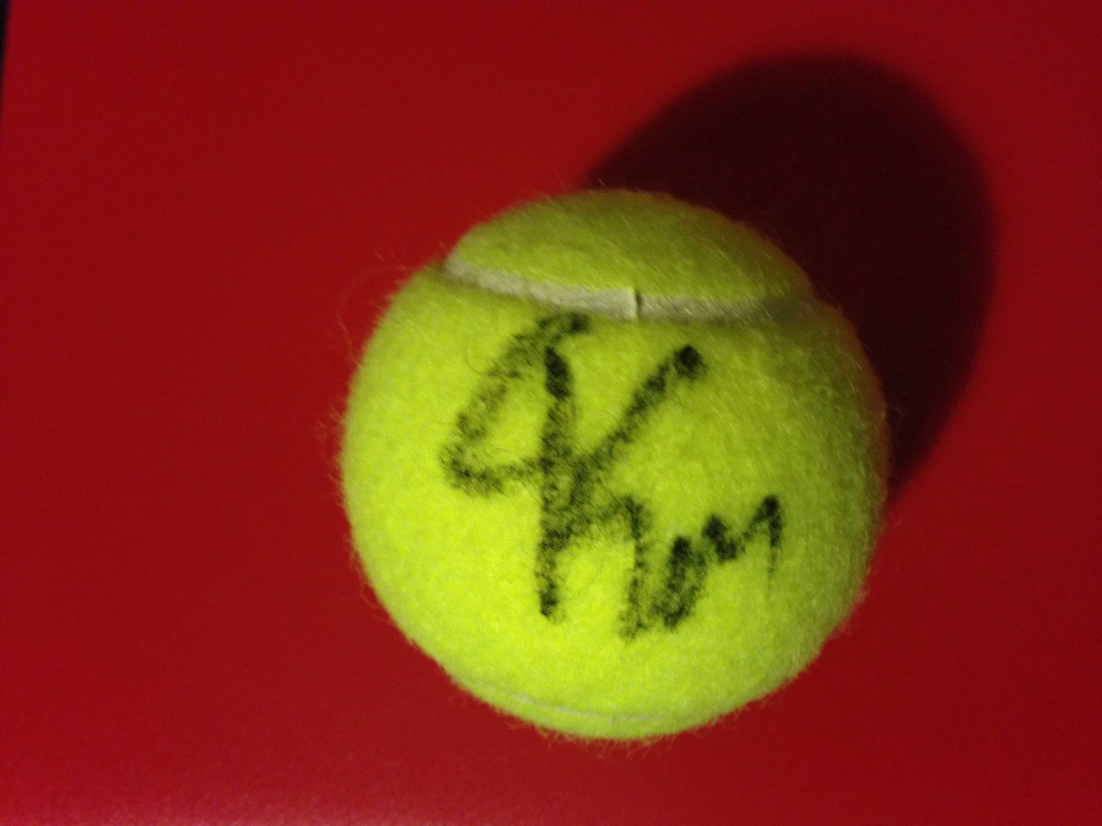 Alexandra Panova Wilson Tennis Ball Signed Auto
