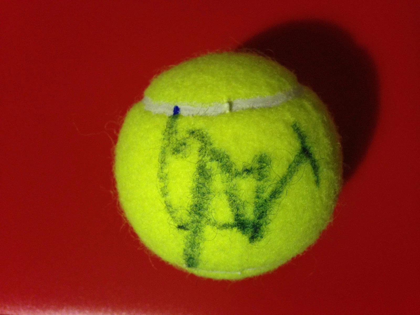 YUNG-JAN CHAN WILSON TENNIS BALL SIGNED AUTO COLLECTIBLE MEMORABILIA