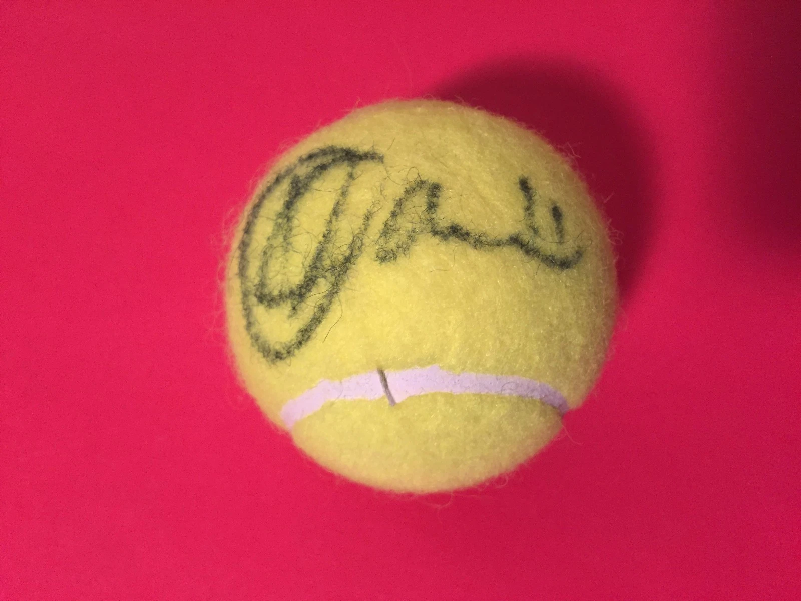 Daria Gavrilova Australia Wilson Tennis Ball Signed Auto
