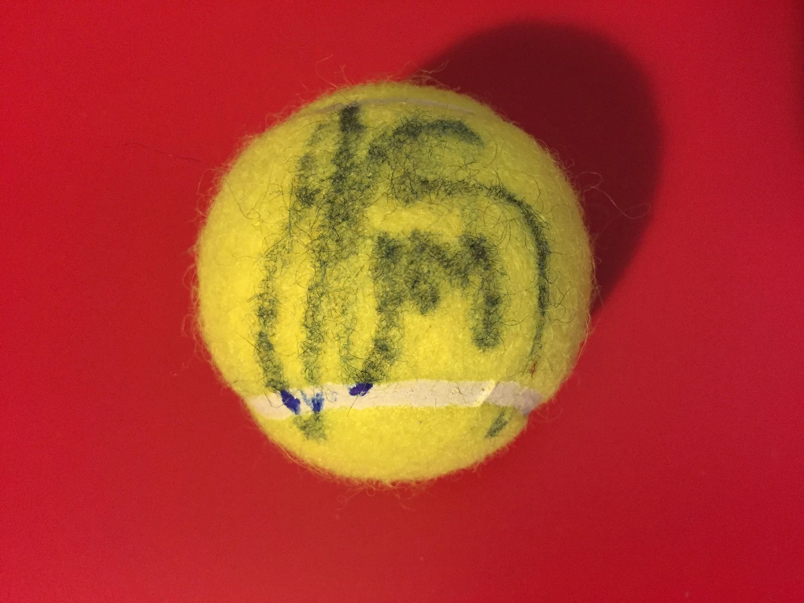 Julia Goerges Wilson Tennis Ball Signed Auto
