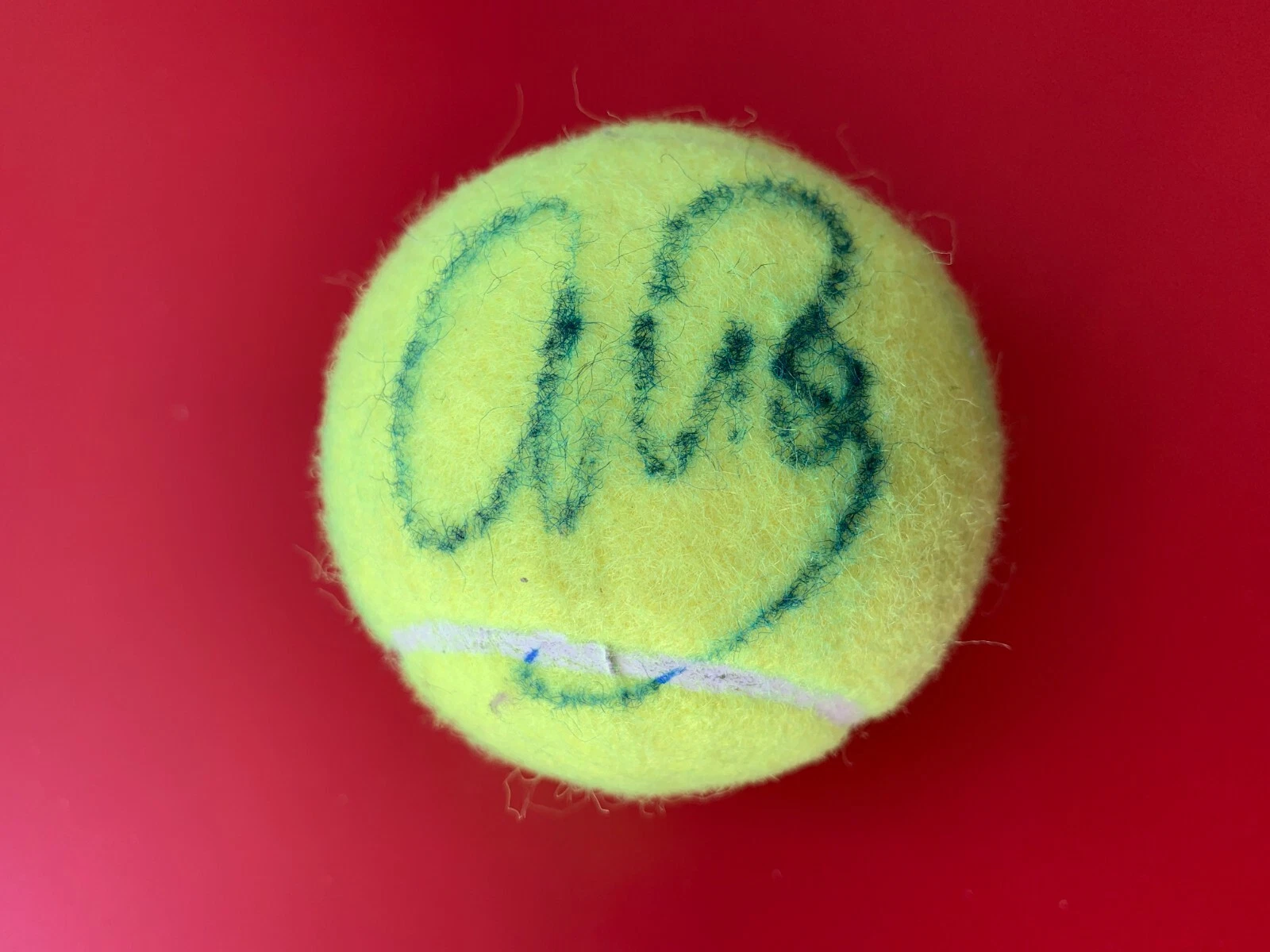 Ana Bogdan Penn Tennis Ball Signed Auto
