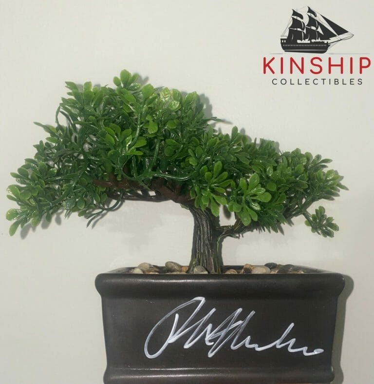 RALPH MACCHIO SIGNED BONSAI TREE JSA COA KARATE KID AUTO RARE COBRA KAI ZQTY
 COLLECTIBLE MEMORABILIA