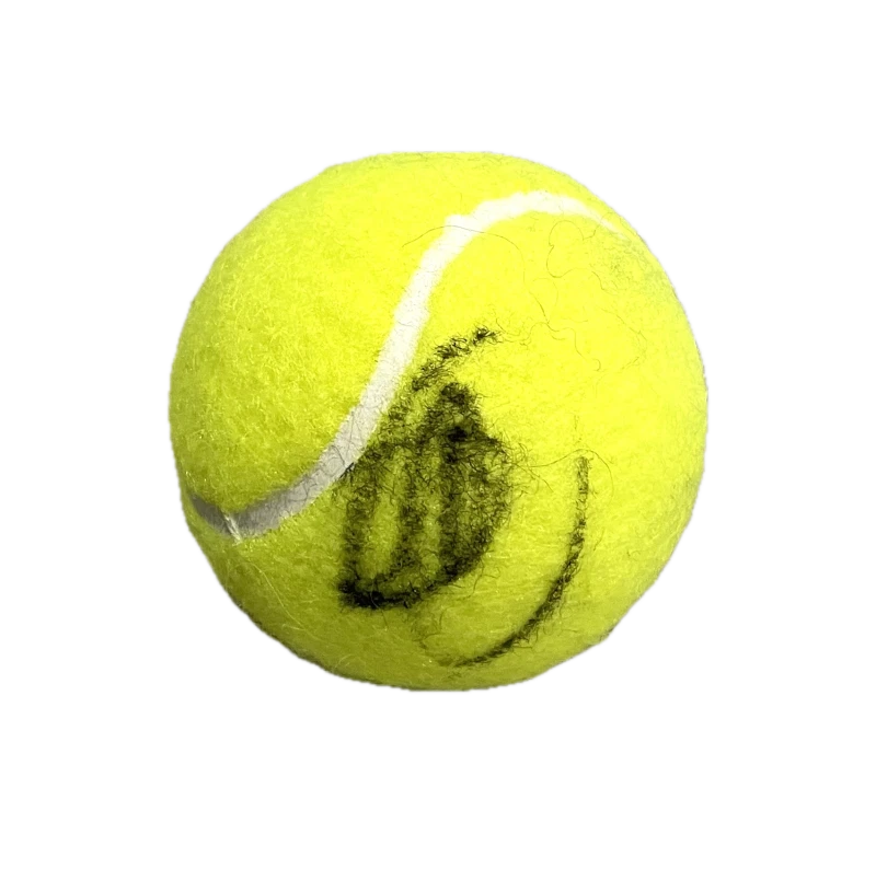 Novak Djokovic Signed Autograph Tennis Ball - Australian Open Champion JSA COA
