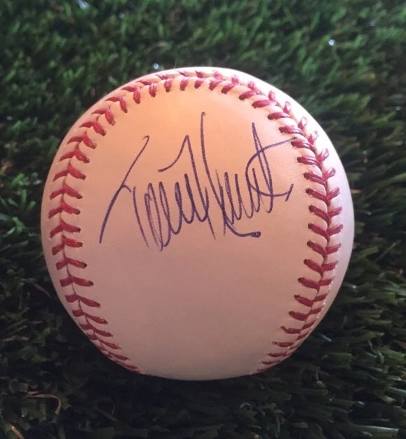 TORII HUNTER Autographed Signed OMLB Baseball PSA/DNA V78446
