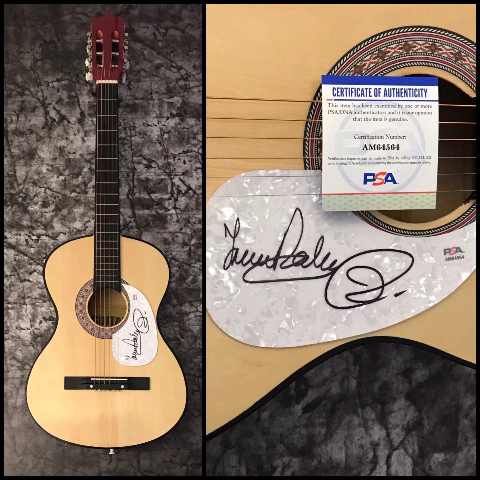 PSA Trevor Rabin & Jon Anderson * YES BAND * Signed Acoustic Guitar COA
