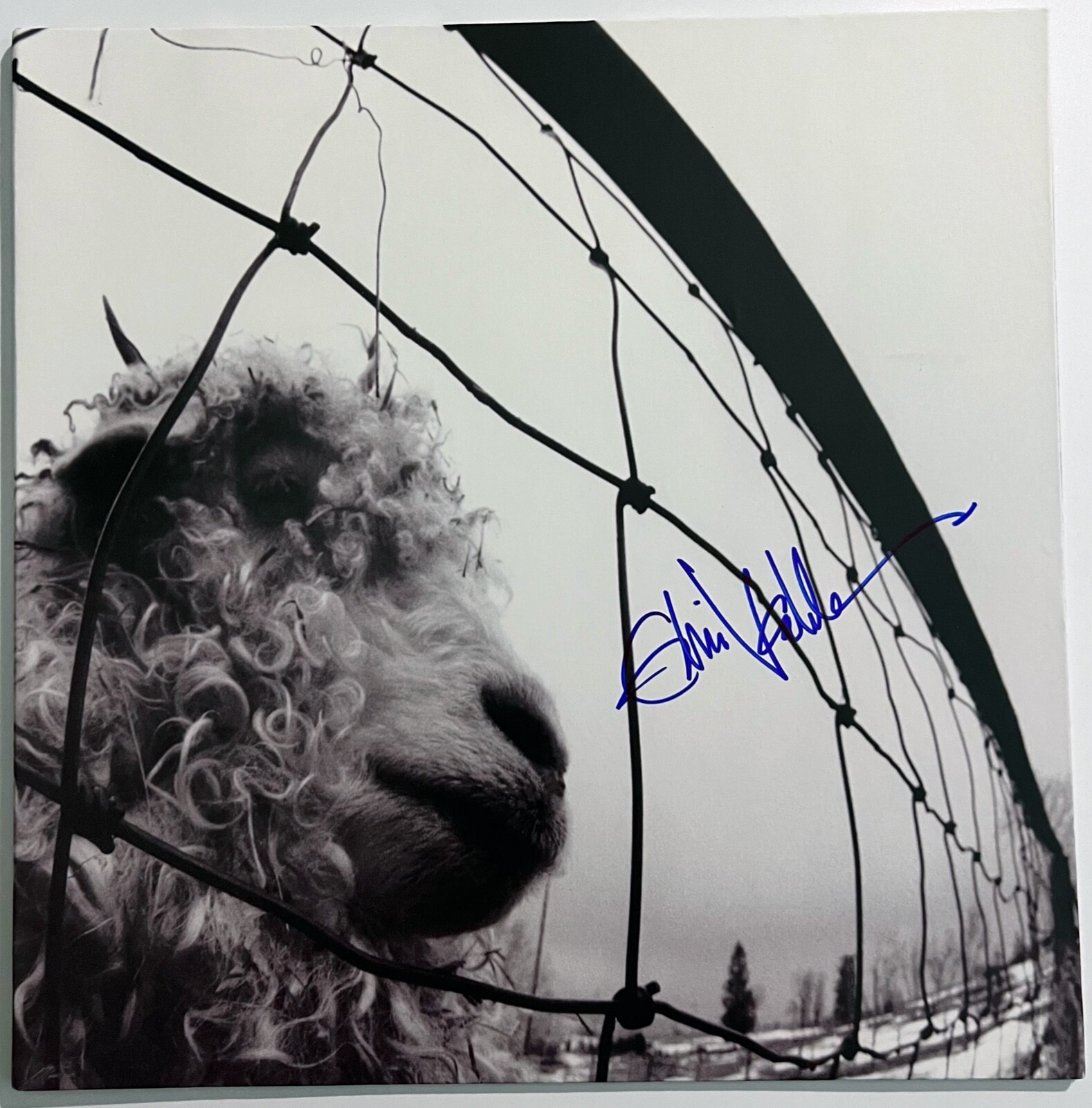 Eddie Vedder JSA Signed Autograph Pearl Jam Album Record Vinyl Vs