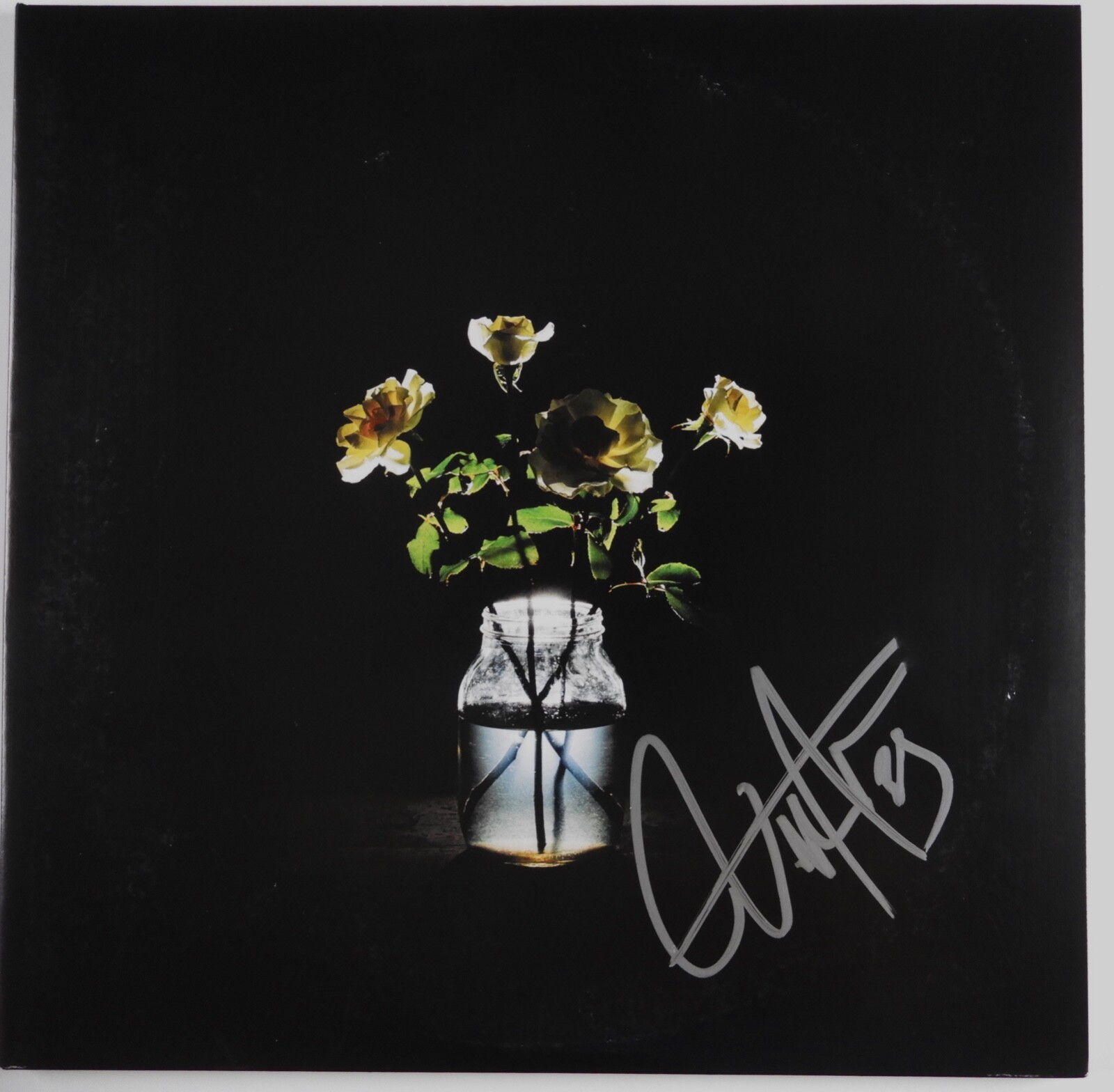 Billy Strings JSA Signed Autograph Album Vinyl Renewal
