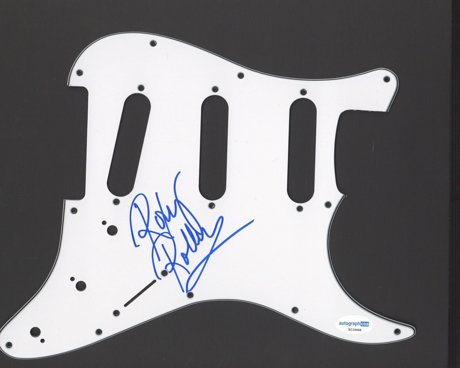 ROXY PETRUCCI VIXEN SIGNED AUTOGRAPH STRAT GUITAR PICKGUARD ACOA ELECTRIC
