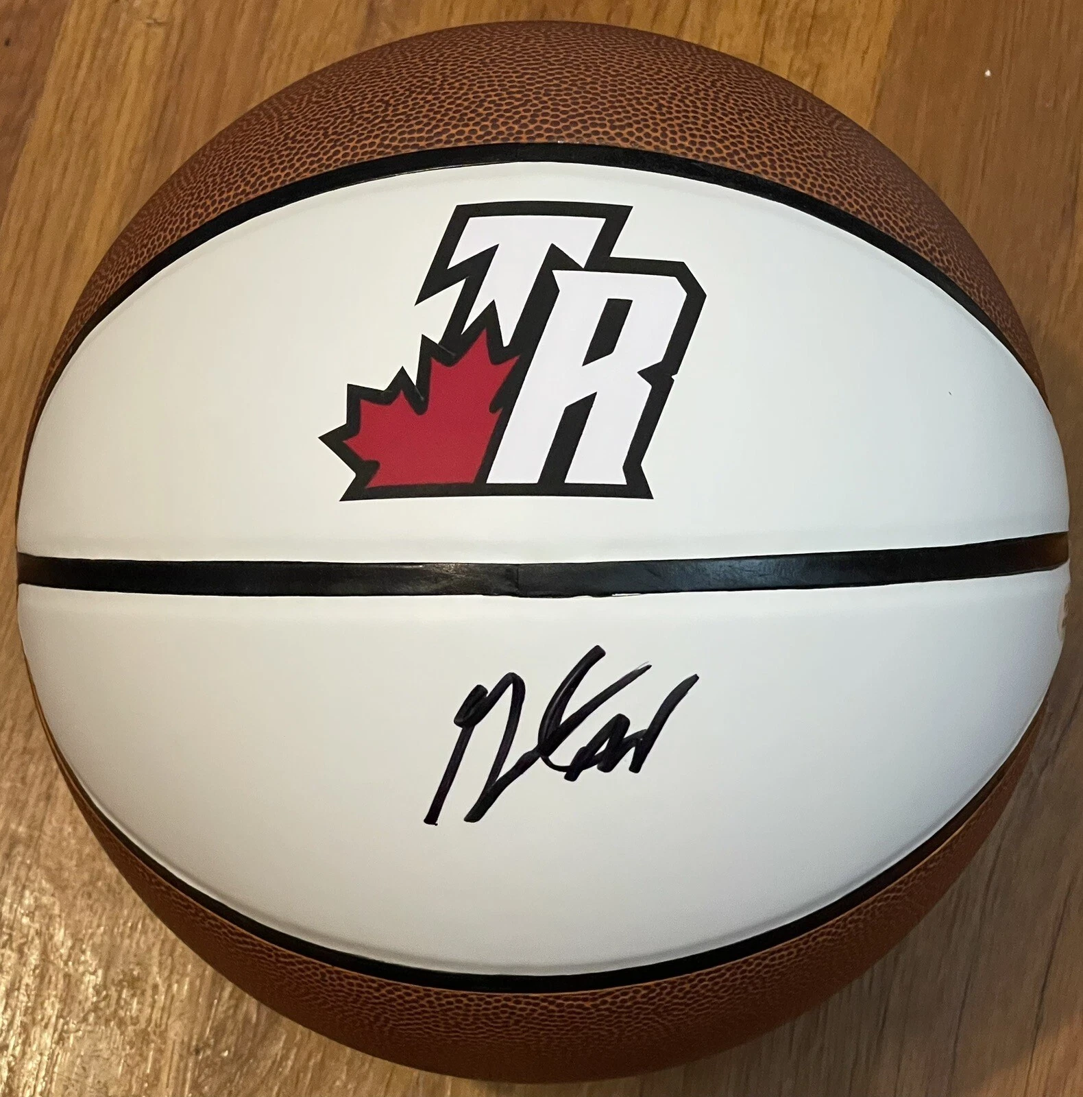 Grady Dick Signed Autographed Toronto Raptors Logo Basketball PSA/DNA
