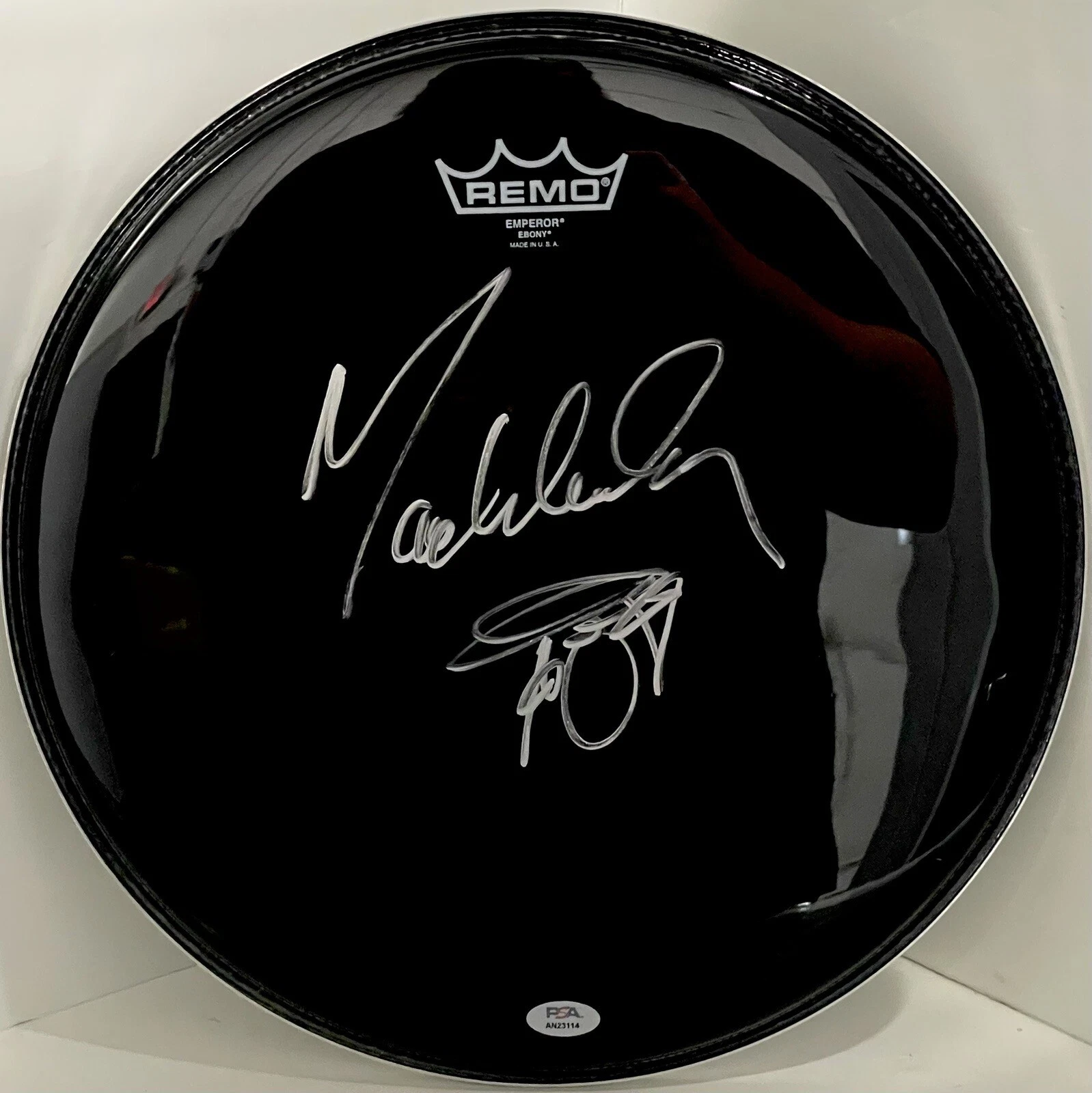 Max Weinberg Signed Autographed 13” Drumhead E Street Band PSA/DNA BRUCE
