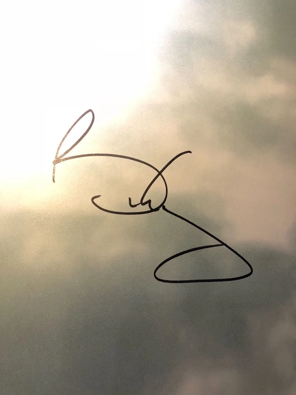 Brian May Signed Autograph Queen in 3D Book PSA JSA Not a book plate
