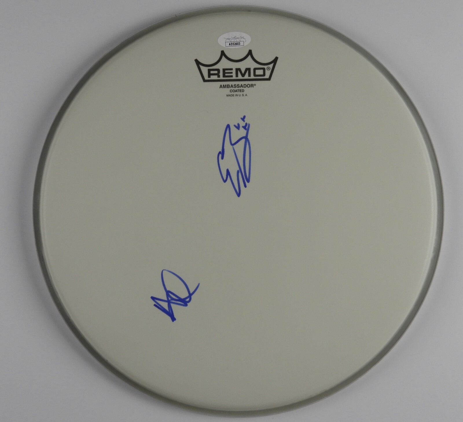 Black Pumas JSA Signed Autograph Drum Head Adrian Quesada Eric Burton
