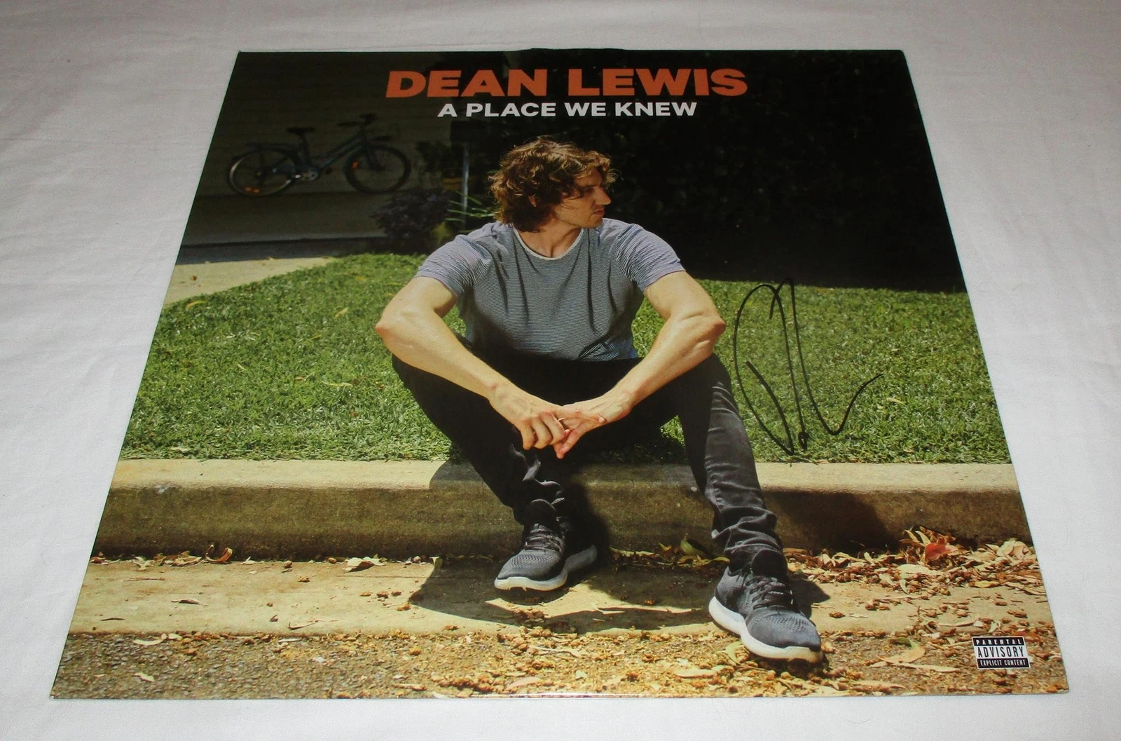 DEAN LEWIS SIGNED A PLACE WE KNEW VINYL RECORD JSA
