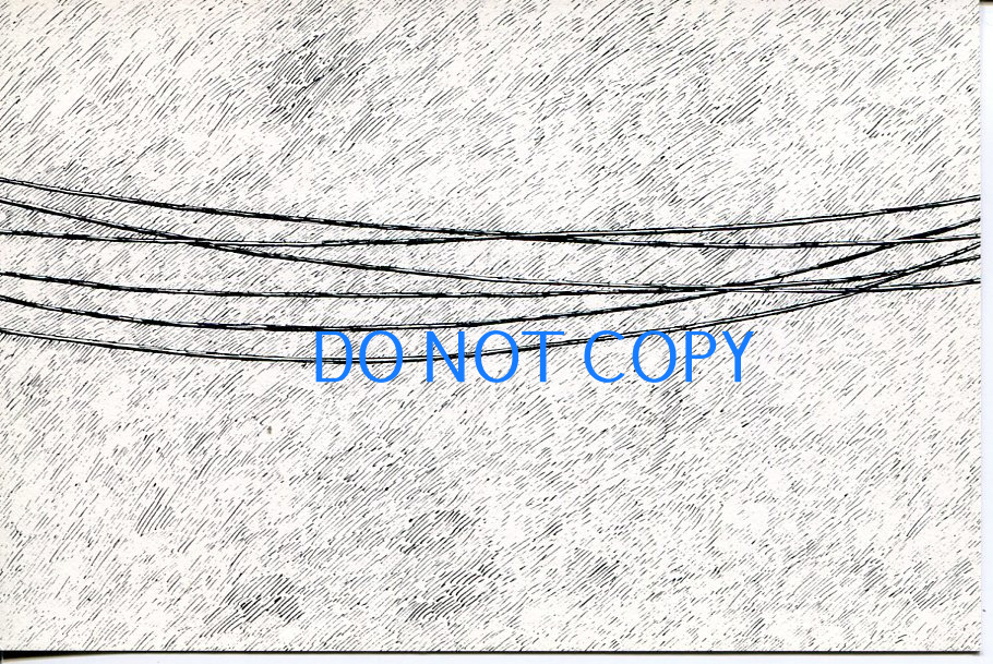 Edward Gorey Dogear Wryde Telephone Wires From Parlor Window Original Postcard
