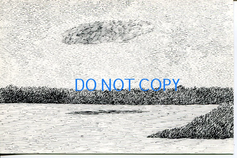 Edward Gorey Dogear Wryde Cloud Above Lake Spoonsocket Original 1978 Postcard
