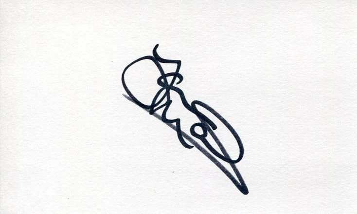 Lauren Maher Pirates of the Caribbean Scarlett Coherence Signed Autograph
