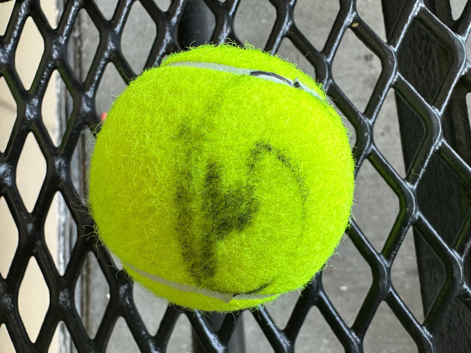 Matteo Berrettini Signed US Open Tennis Ball Autographed Wimbledon French
