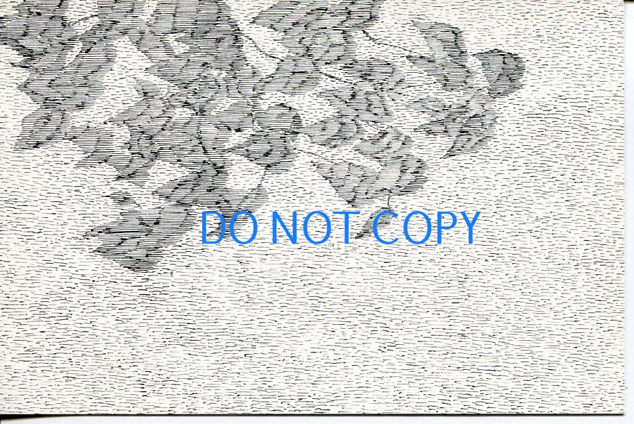 Edward Gorey Dogear Wryde Shadow Of A Plant Grown By Mrs Obolius 1978 Postcard
