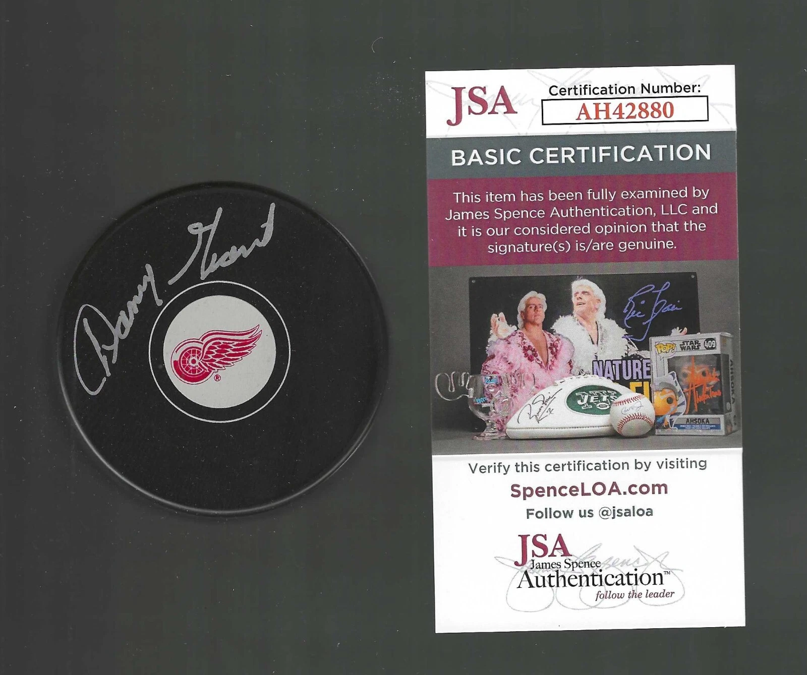 Danny Grant Signed Detroit Red Wings Puck JSA COA
