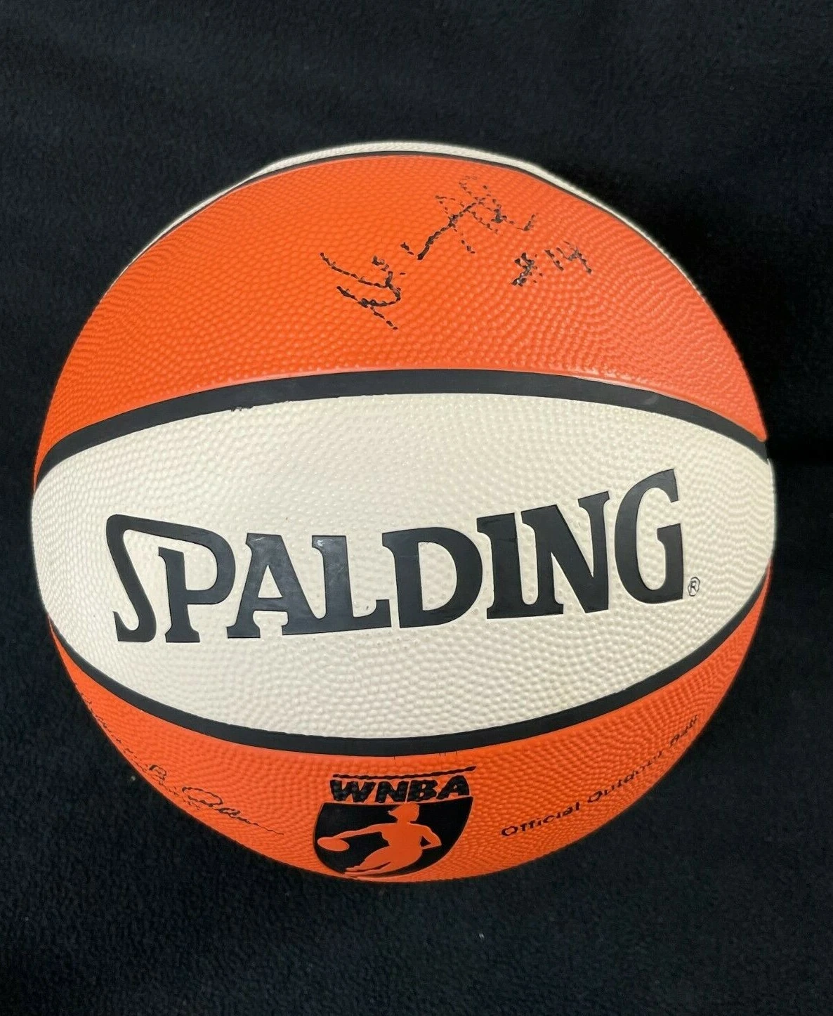Deanna Nolan Signed Detroit Shock Official WNBA Outdoor Basketball
