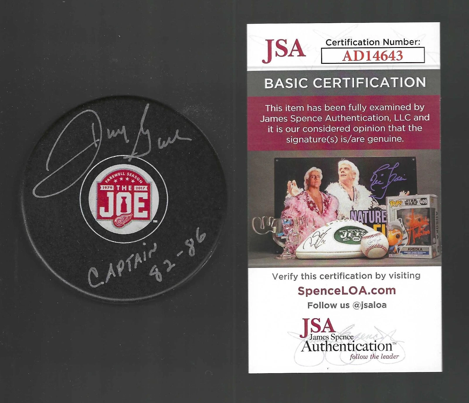 Danny Gare Signed Detroit Red Wings Joe Louis Arena Farewell Puck JSA COA
