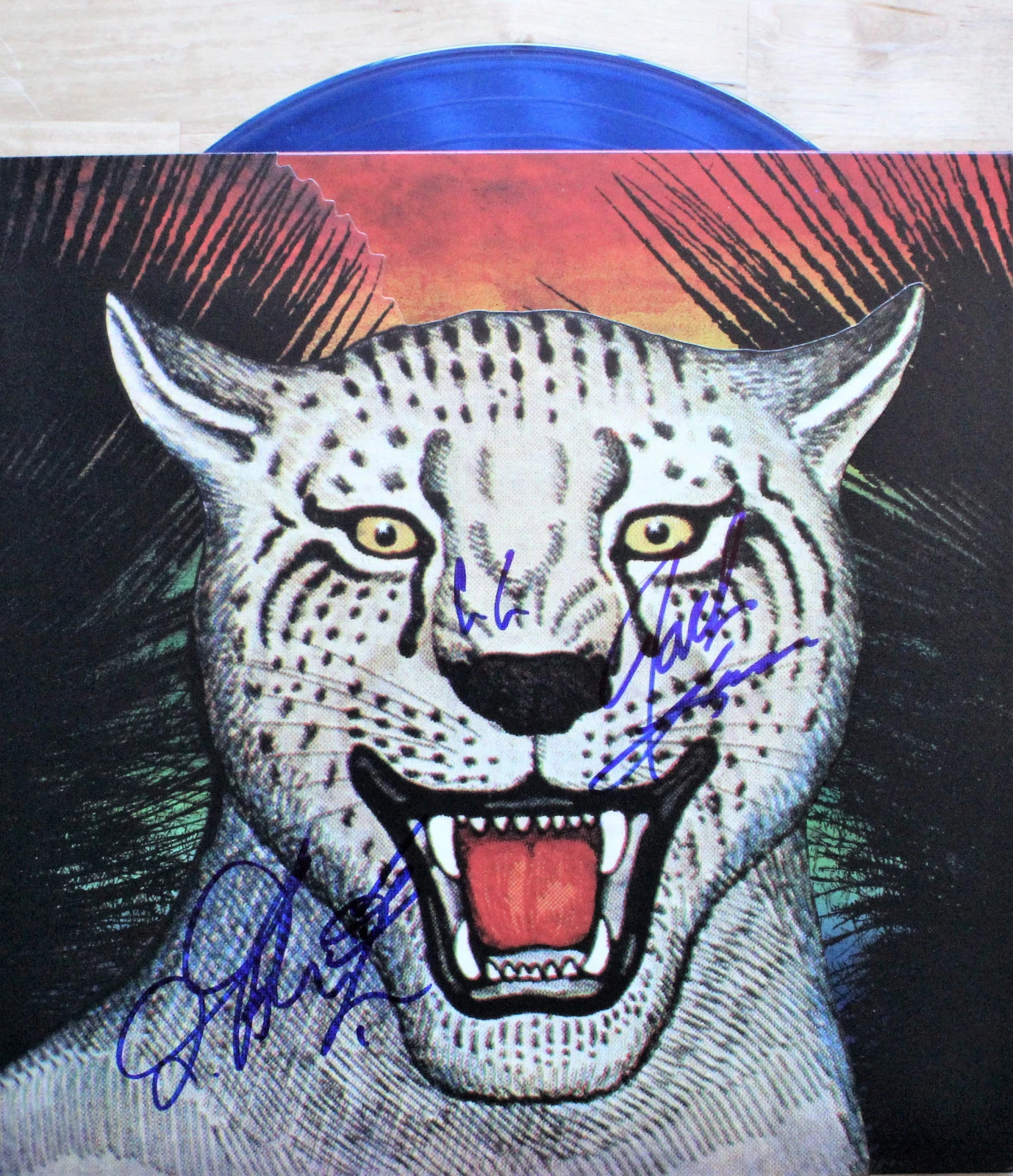 The Greenhornes TMR Vinyl Record, 4 stars, Signed By Band! Blue Vinyl !! ACOA
