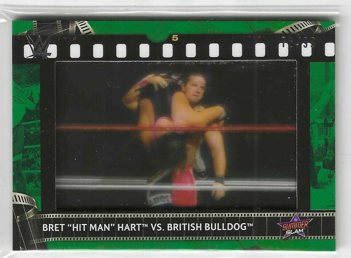 WWE Bret Hart & British Bulldog Poster deals