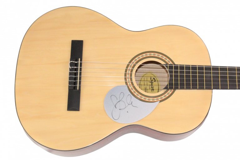 PINK P!NK SIGNED AUTOGRAPH FENDER ACOUSTIC GUITAR – CAN’T TAKE ME HOME JSA COA
 COLLECTIBLE MEMORABILIA