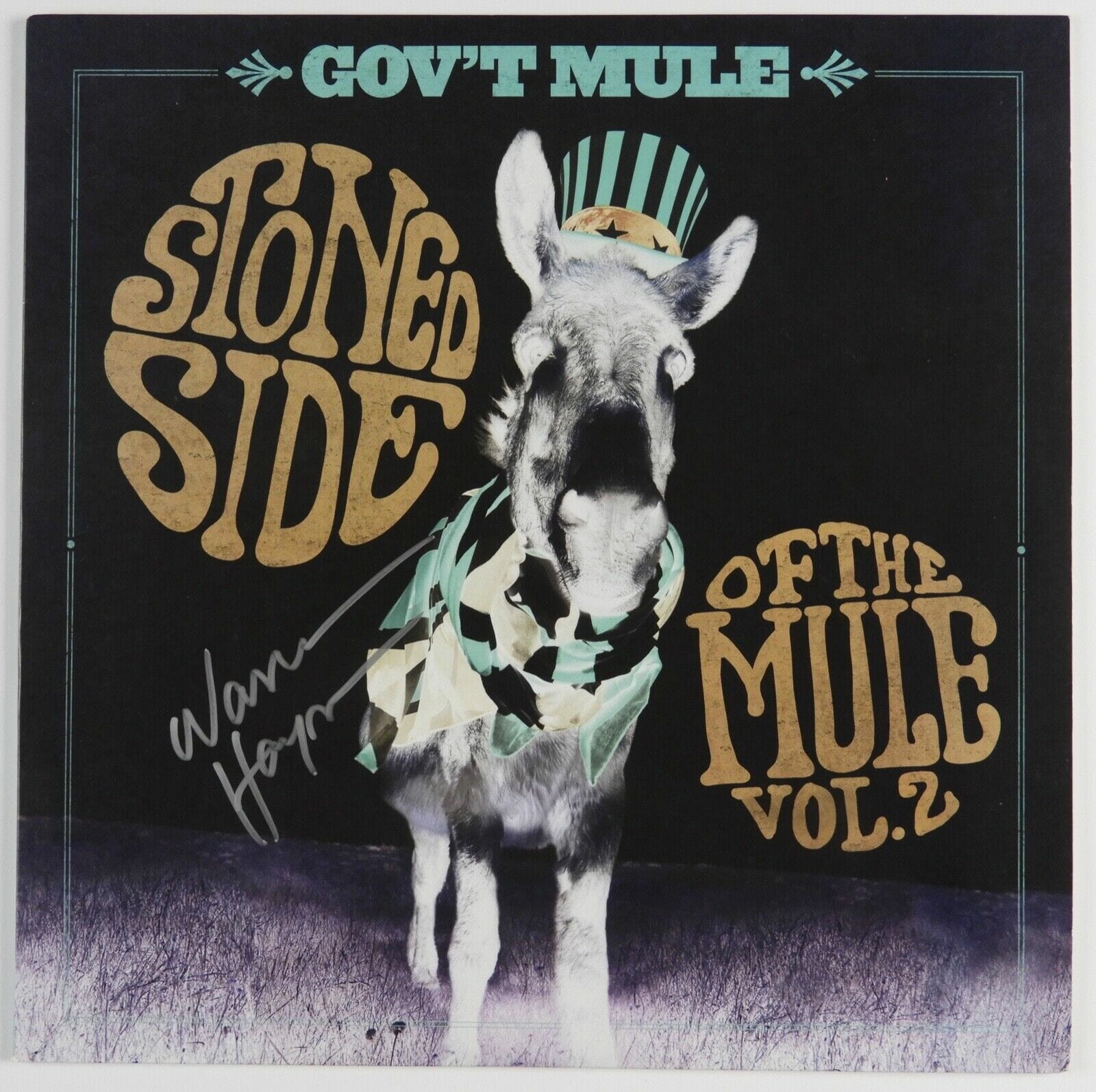 Warren Hayes Gov't Mule Signed JSA Autograph Album Record Vinyl
