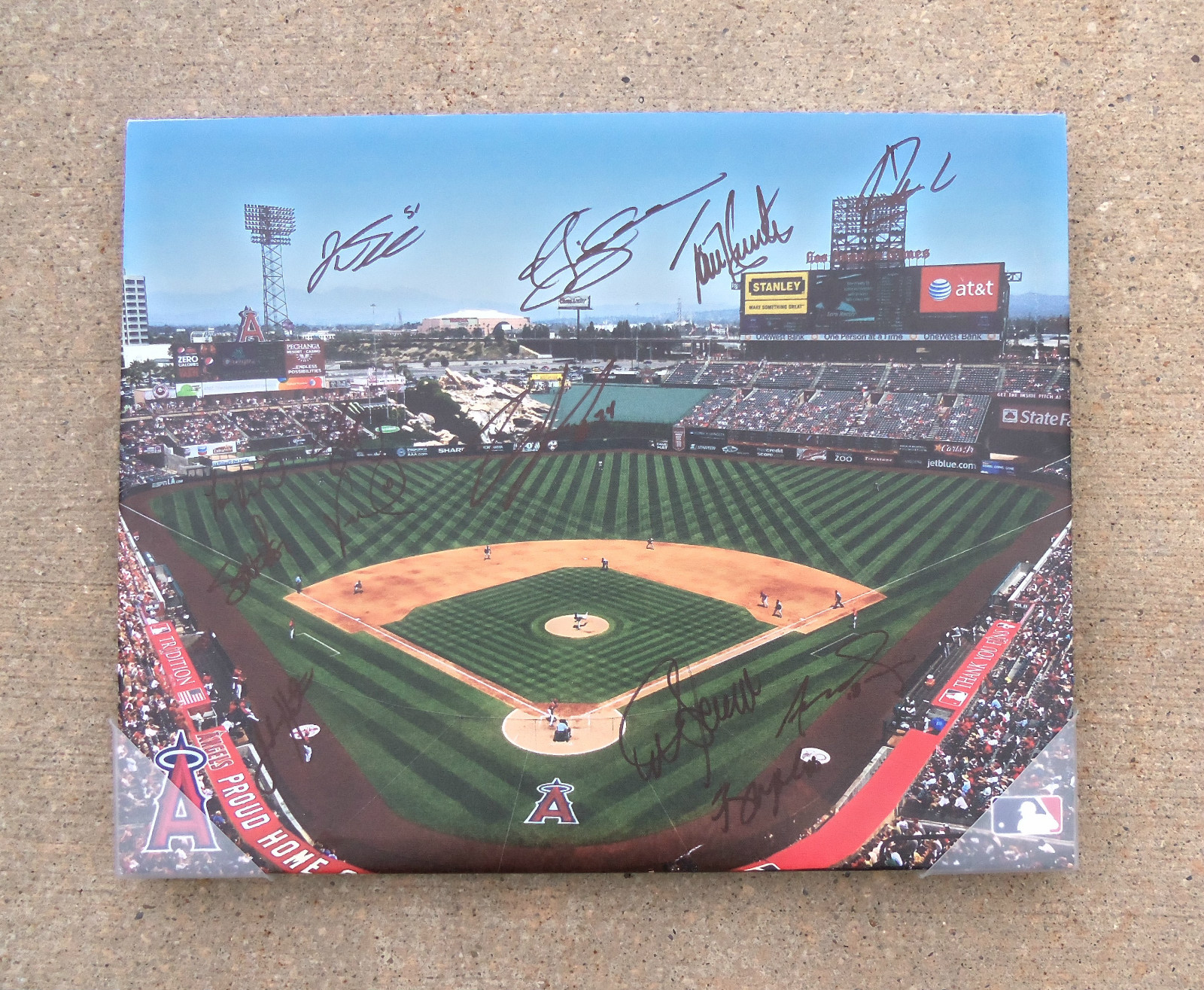 LOS ANGELES ANGELS TEAM Signed Autographed Baseball Canvas COA! PROOF!
