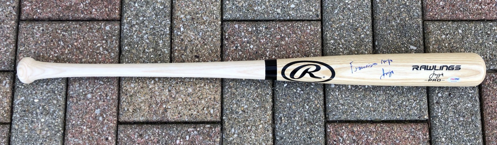 PSA/DNA San Diego Padres FRANCISCO MEJIA Signed Autographed Baseball Bat
