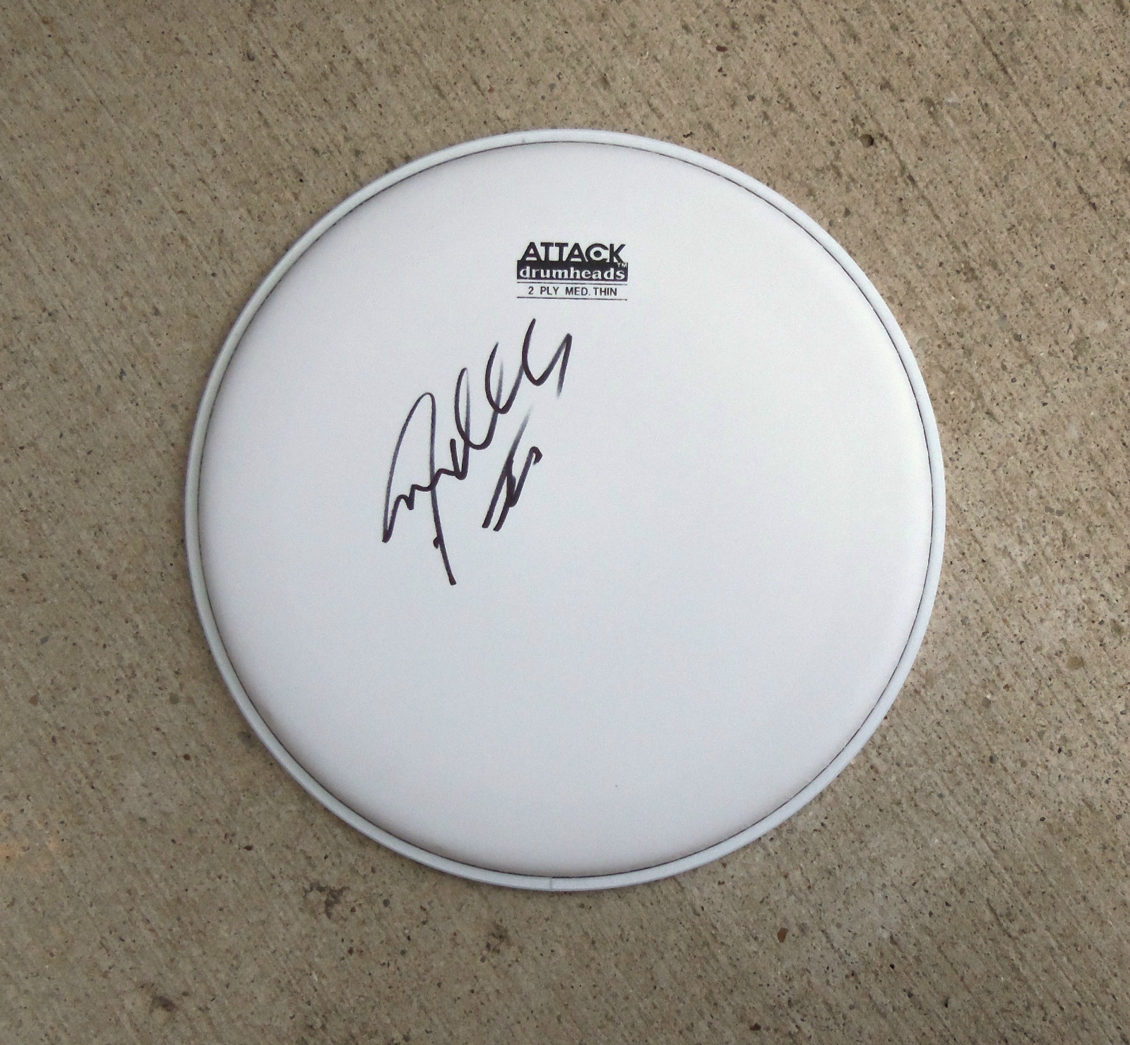 Guns N Roses STEVEN ADLER Signed Autographed Drum Head COA! PROOF
