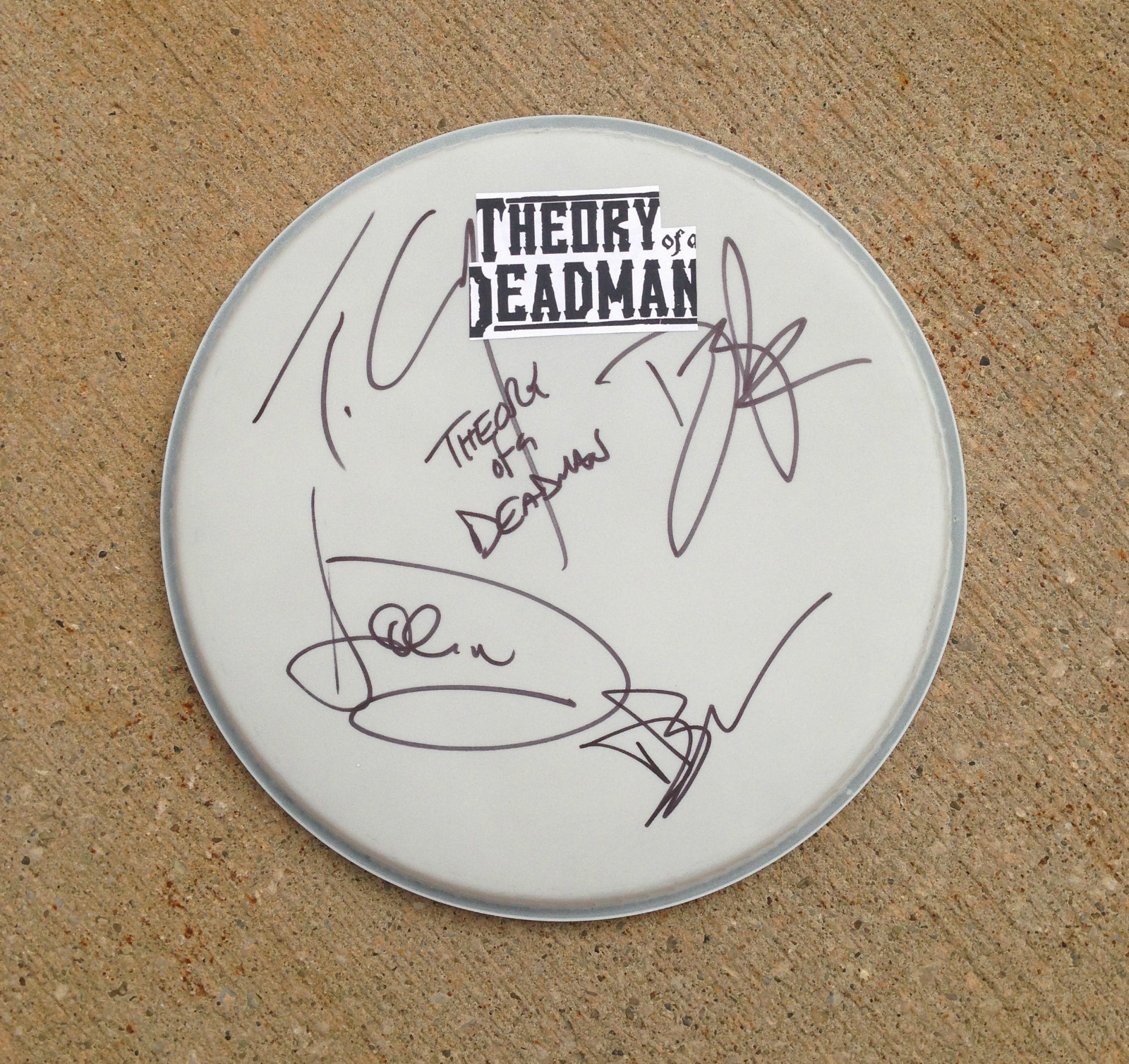 THE TRUTH IS… THEORY OF A DEADMAN BAND GROUP SIGNED AUTOGRAPHED DRUM HEAD COA! COLLECTIBLE MEMORABILIA