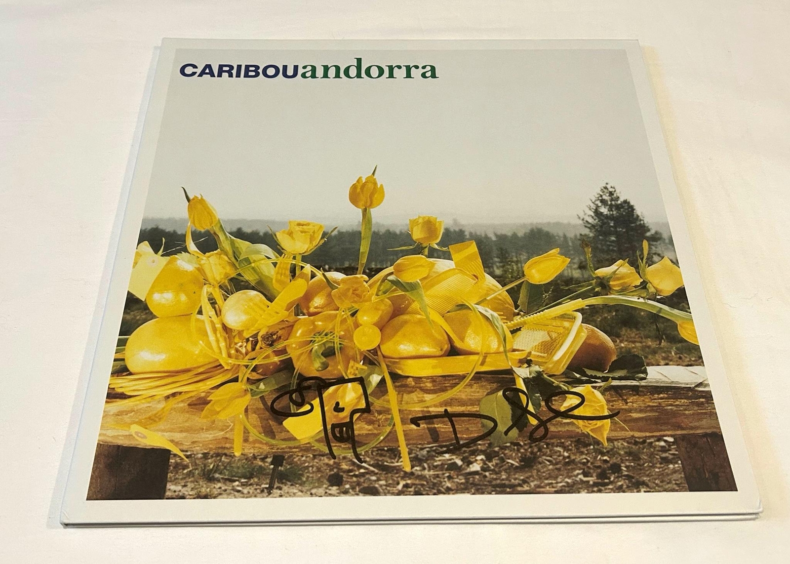 CARIBOU DAN SNAITH SIGNED ANDORRA VINYL RECORD BECKETT BAS
