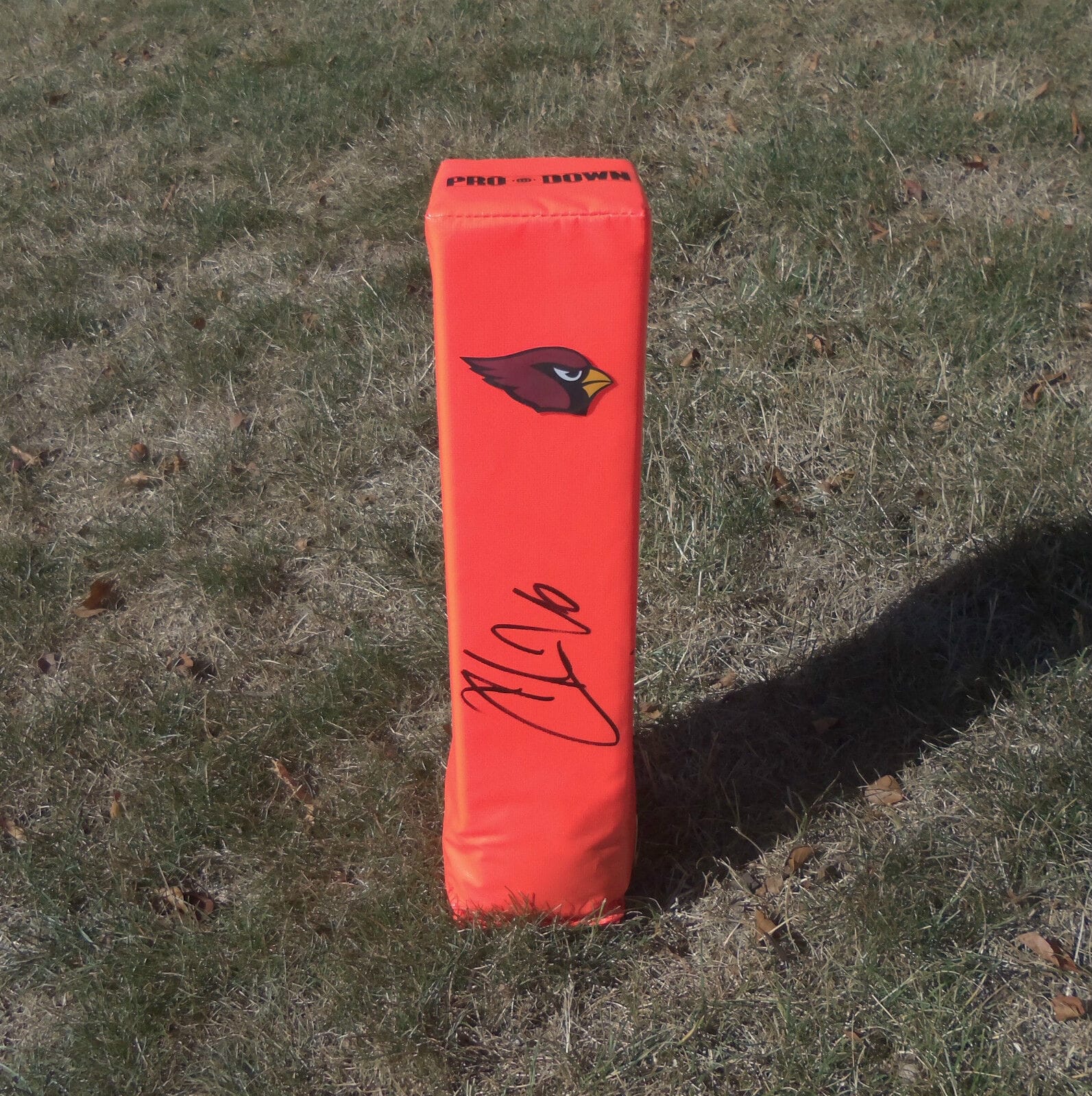 Arizona Cardinals #26 CHRIS BEANIE WELLS Signed Autographed Football Pylon COA
Opens in a new window or tab