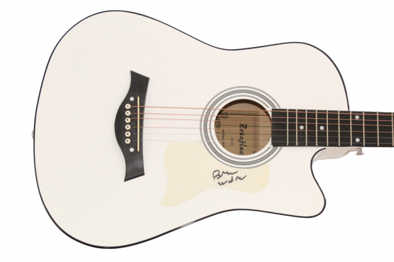 BRIAN WILSON BEACH BOYS SIGNED AUTOGRAPH ACOUSTIC GUITAR – PET SOUNDS W/ JSA COA
 COLLECTIBLE MEMORABILIA