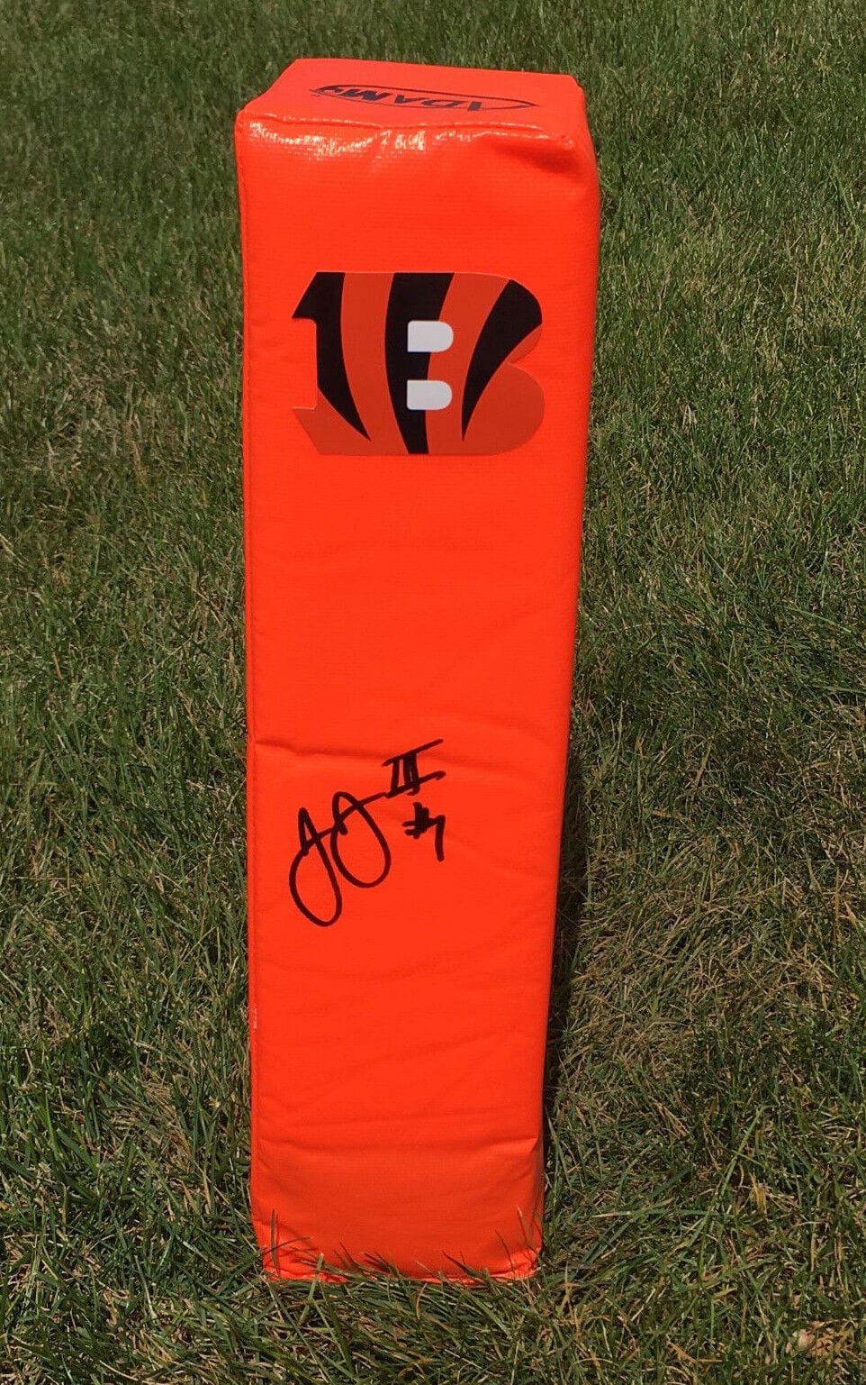 Cincinnati Bengals #15 JOHN ROSS Autographed Football Pylon COA! WHO DEY!
Opens in a new window or tab