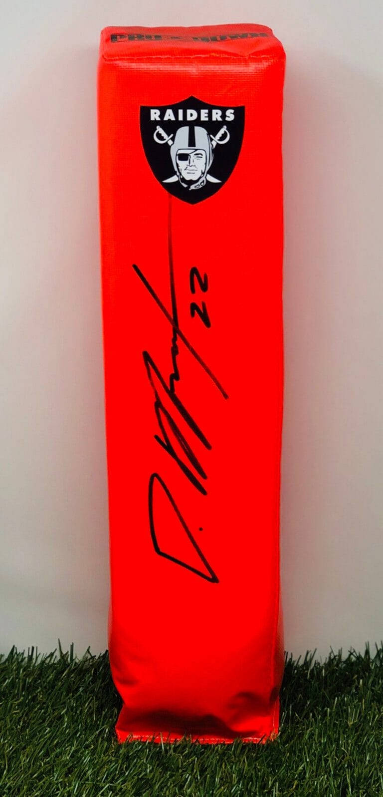 OAKLAND RAIDERS DOUG MARTIN SIGNED AUTOGRAPHED ENDZONE FOOTBALL PYLON COA!
 COLLECTIBLE MEMORABILIA