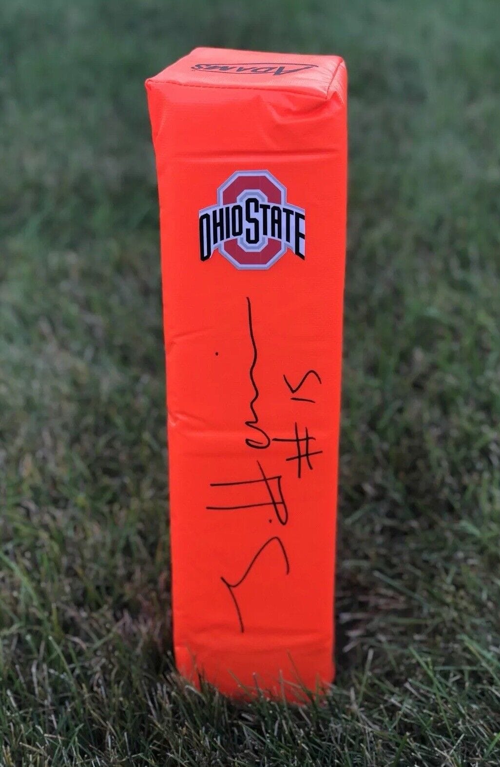 Ohio State Buckeyes #15 JAYLEN HARRIS Signed Autographed Football Pylon COA!
Opens in a new window or tab
