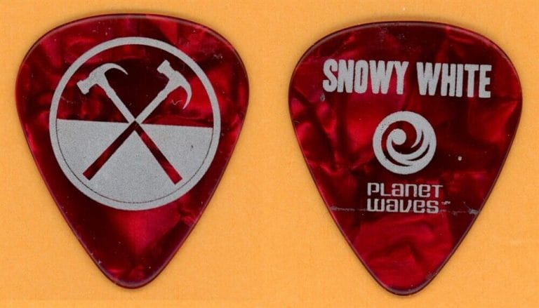 PINK FLOYD ROGER WATERS SNOWY WHITE VINTAGE GUITAR PICK – 2010 IN THE FLESH TOUR
 COLLECTIBLE MEMORABILIA