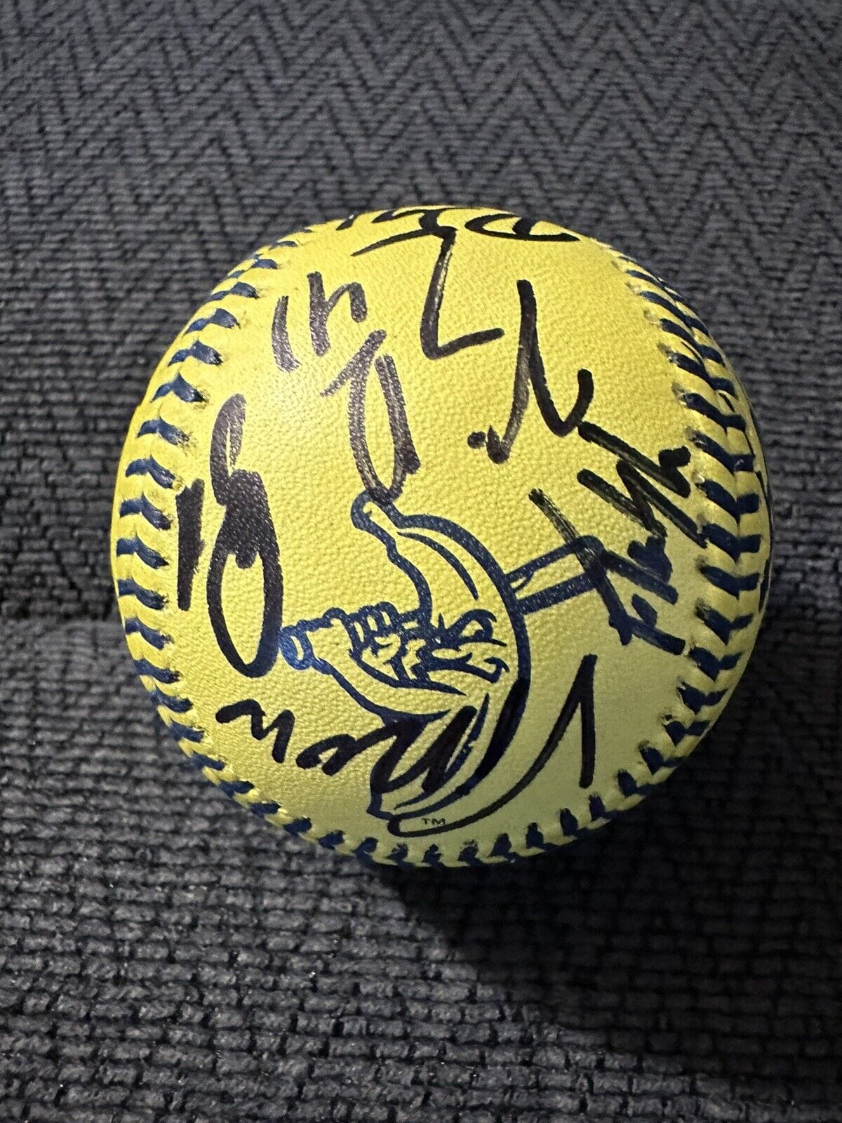 Savannah Bananas Team Signed Official Baseball 2023 Jesse Cole 24