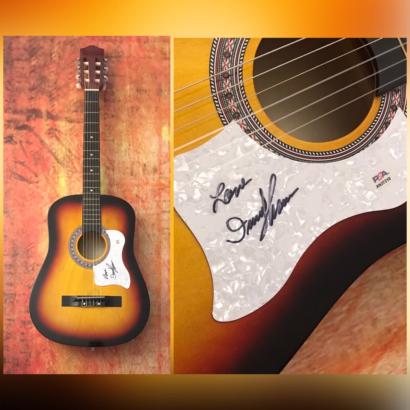 PSA I Wish Someone Would Care * IRMA THOMAS * Signed Acoustic Guitar COA