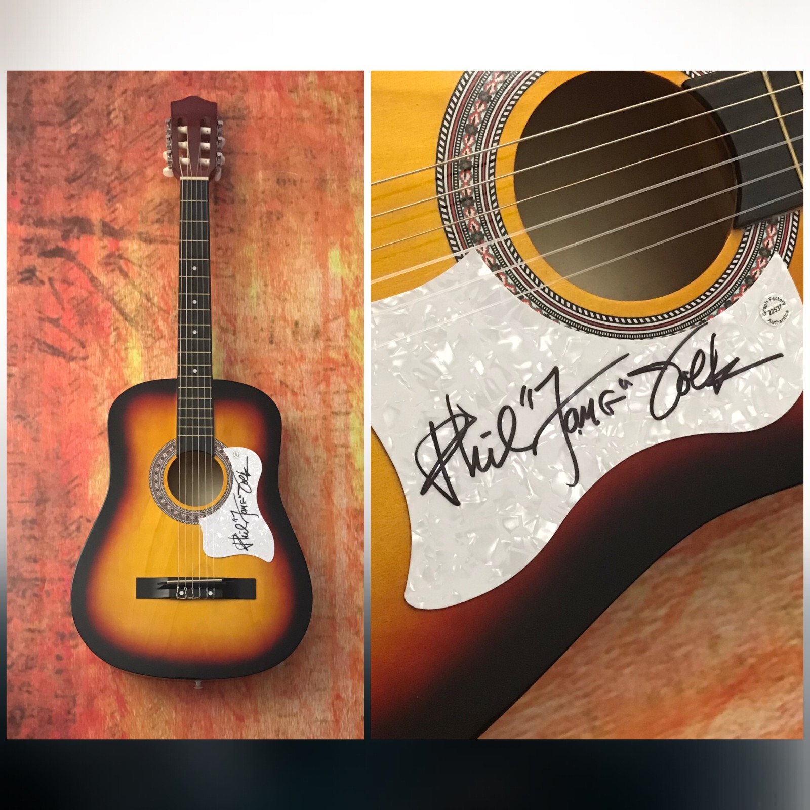 GFA Paul Revere & the Raiders * PHIL FANG VOLK * Signed Acoustic Guitar COA